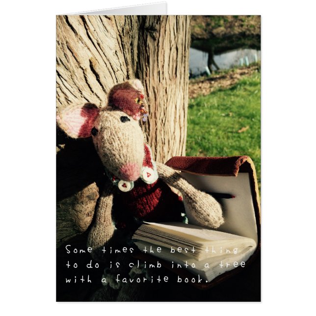 Amelias Phantastische Abenteuer (Vorne)