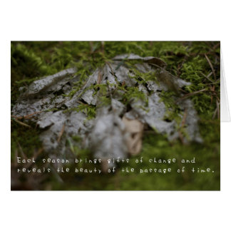 Amelias Phantastische Abenteuer