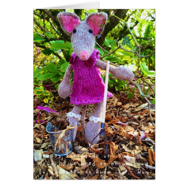 Amelias Phantastische Abenteuer (Vorne)