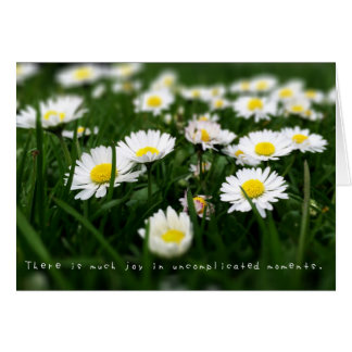 Amelias Phantastisches Adventures-Journal