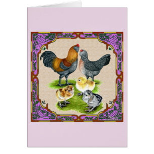 Ameraucana-Familie gerahmt
