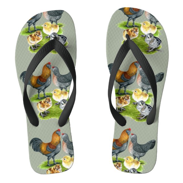 Ameraucana Huhn-Familie Flip Flops (Fußbett)