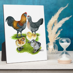 Ameraucana-Hühnerfamilie Fotoplatte