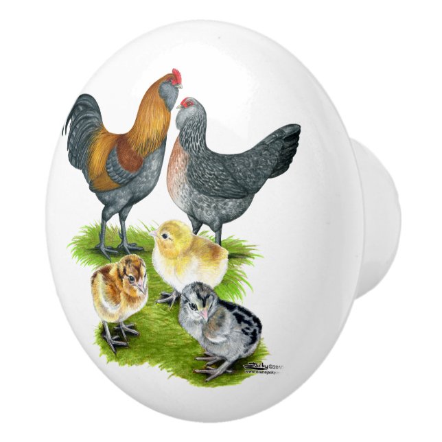 Ameraucana-Hühnerfamilie Keramikknauf (Rechts)