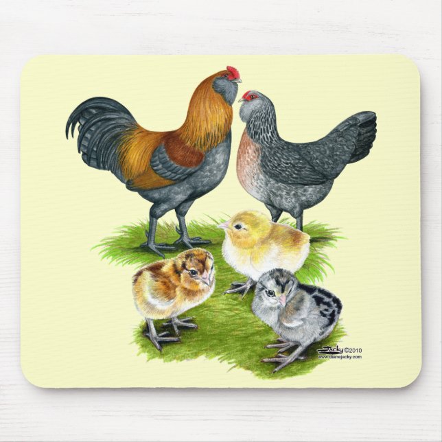 Ameraucana-Hühnerfamilie Mousepad (Vorne)