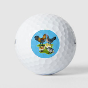 Ameraucana-Hühnersippe Golfball