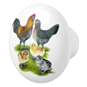 Ameraucana-Hühnersippe Keramikknauf