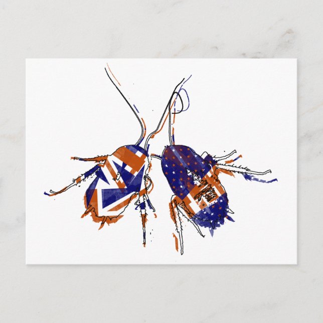 Ameri-Brit-Kakerlaken Postkarte (Vorderseite)