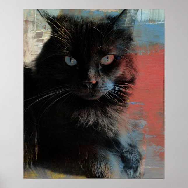Ameriana Black Cat, Folk Art Poster (Vorne)