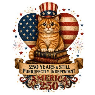 America 250 Vintage Patriotische Katze T-Shirt