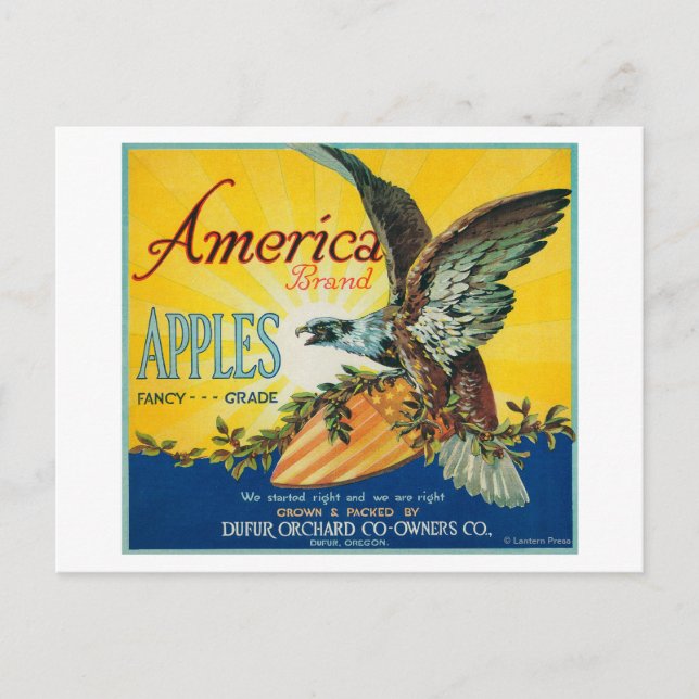 America Apple Crate LabelDufur, OR Postkarte (Vorderseite)