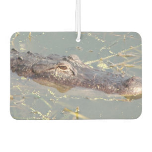 American Alligator Air Freshner Autolufterfrischer