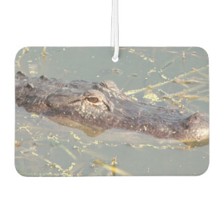 American Alligator Air Freshner Autolufterfrischer