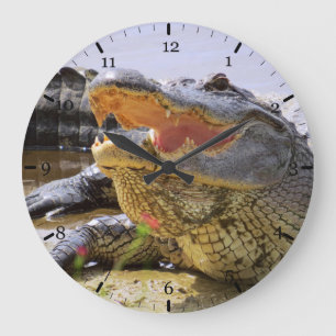 American Alligator Große Wanduhr