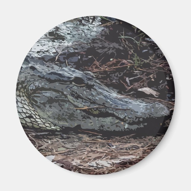 American Alligator Magnet (Vorne)