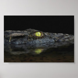 American Alligator Poster