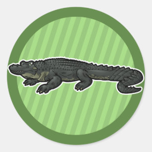 American Alligator Runder Aufkleber