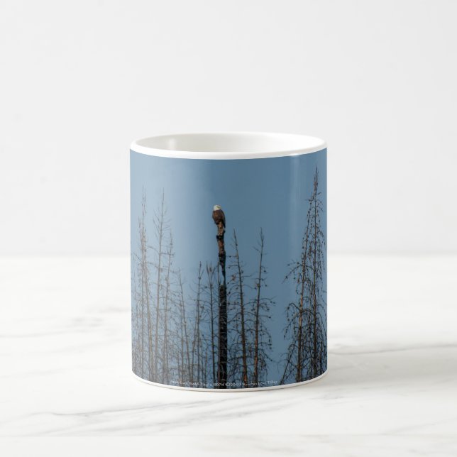 American Bald Eagle 8974 Kaffeetasse (Mittel)
