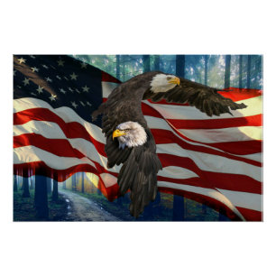 American Bald Eagle American Flag Poster