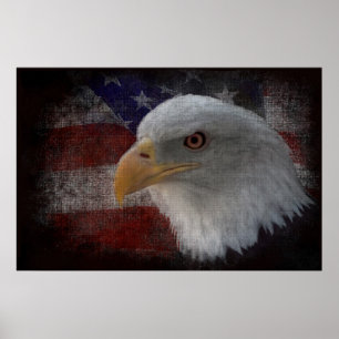 American Bald Eagle auf der Flagge Poster