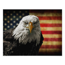 American Bald Eagle auf Grunge Flag