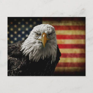 American Bald Eagle auf Grunge Flag Postkarte