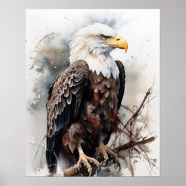 American Bald Eagle Bird Art Print Poster