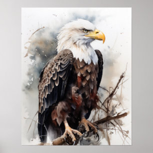 American Bald Eagle Bird Art Print Poster