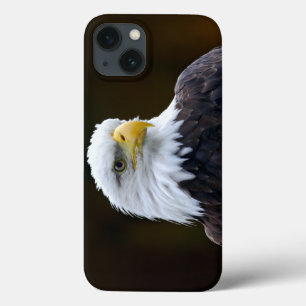 American Bald Eagle Case-Mate iPhone Hülle