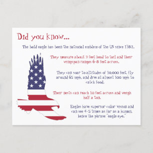 American Bald Eagle Fakten Postkarte