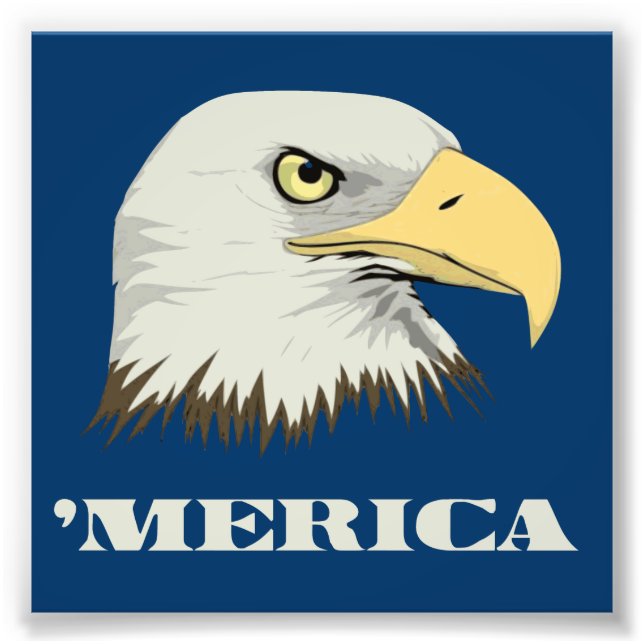 American Bald Eagle for Merica Fotodruck (Vorne)