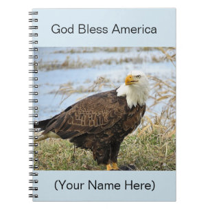 American Bald Eagle Foto auf einem 8x10 Journal Notizblock