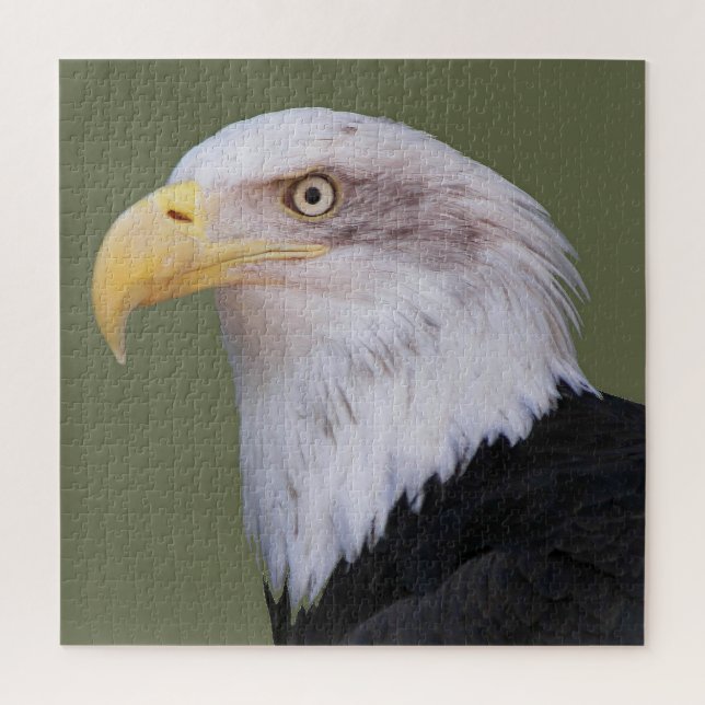 American Bald Eagle Foto Puzzle (Vertikal)
