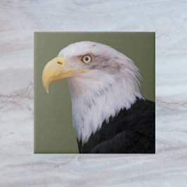 American Bald Eagle Head Fliese