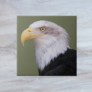 American Bald Eagle Head Fliese