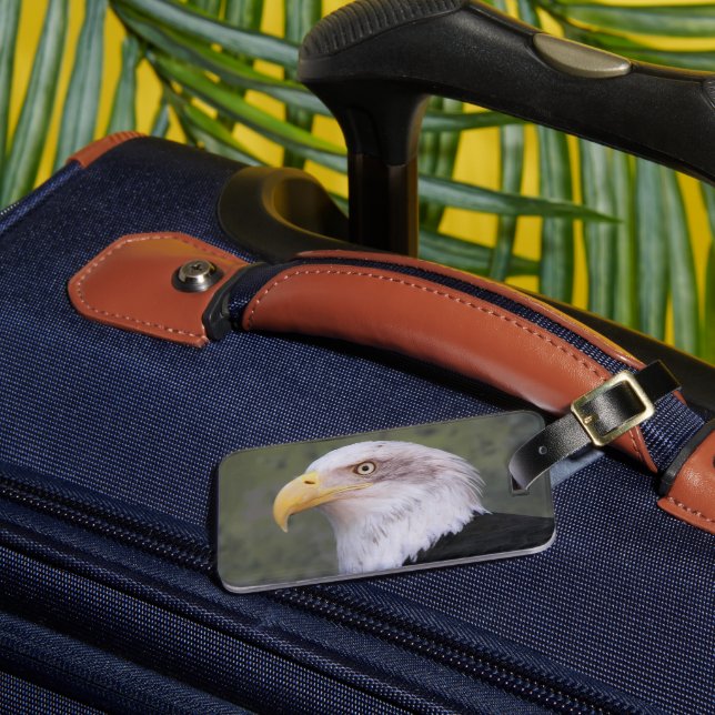 American Bald Eagle Head Gepäckanhänger (Vorderseite Insitu 3)