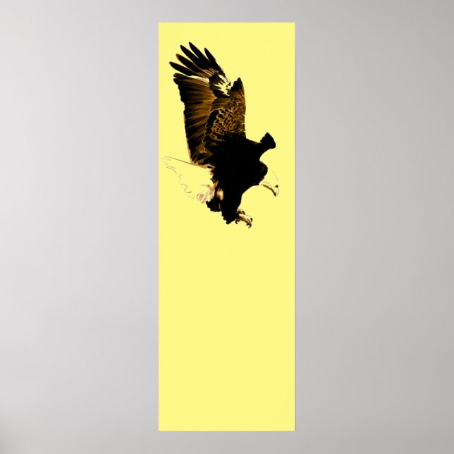 American Bald Eagle Landing Poster (Vorne)