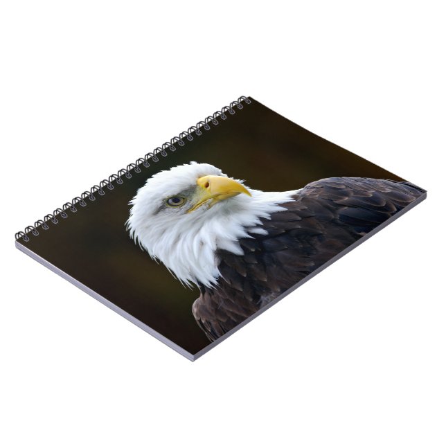 American Bald Eagle Notizblock (Linke Seite)