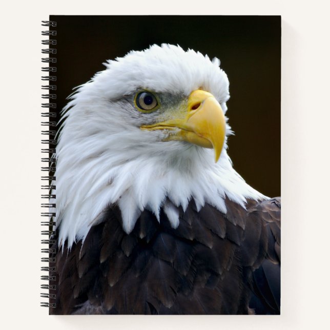 American Bald Eagle Notizbuch (Vorderseite)