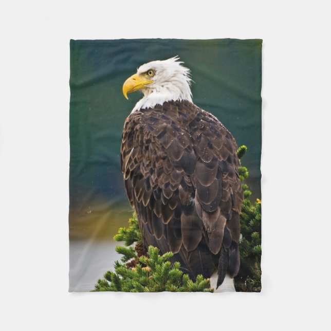 American Bald Eagle Perched Fleecedecke (Vorderseite)