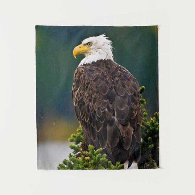 American Bald Eagle Perched Wandteppich (Vorderseite)