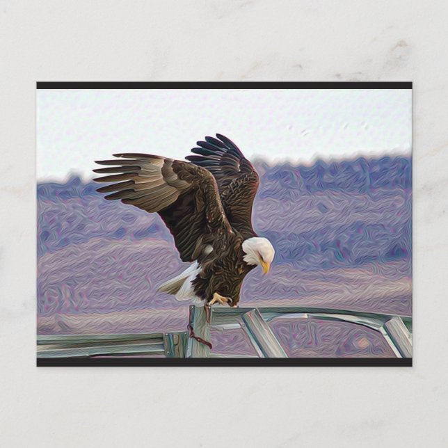 American Bald Eagle Postcard Postkarte (Vorderseite)