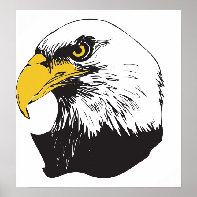 American Bald Eagle Poster (Vorne)