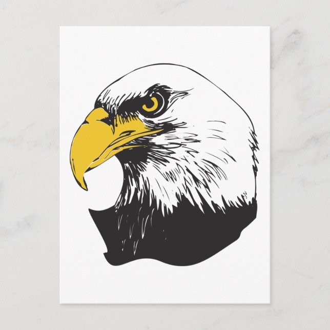 American Bald Eagle Postkarte (Vorderseite)