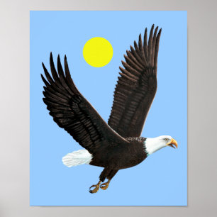 American Bald Eagle Print Poster