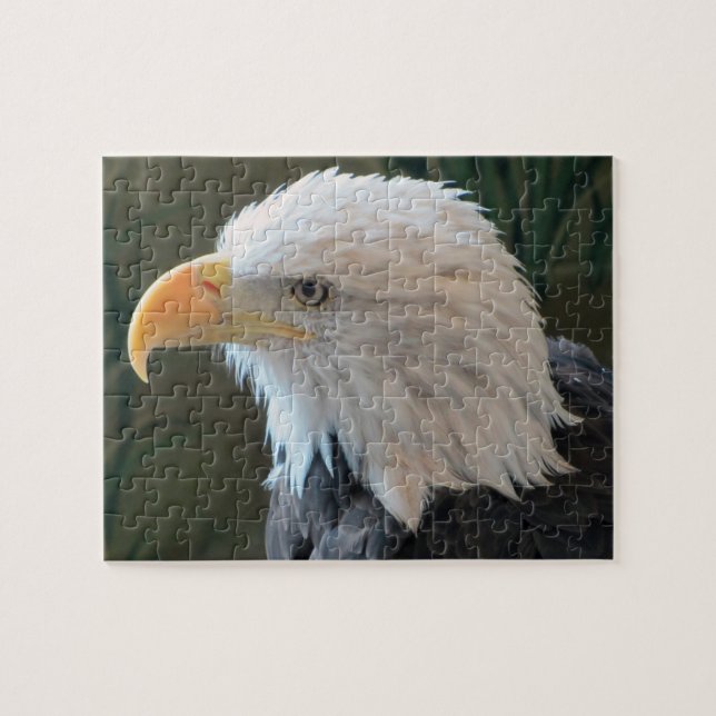 American Bald Eagle Puzzle (Horizontal)