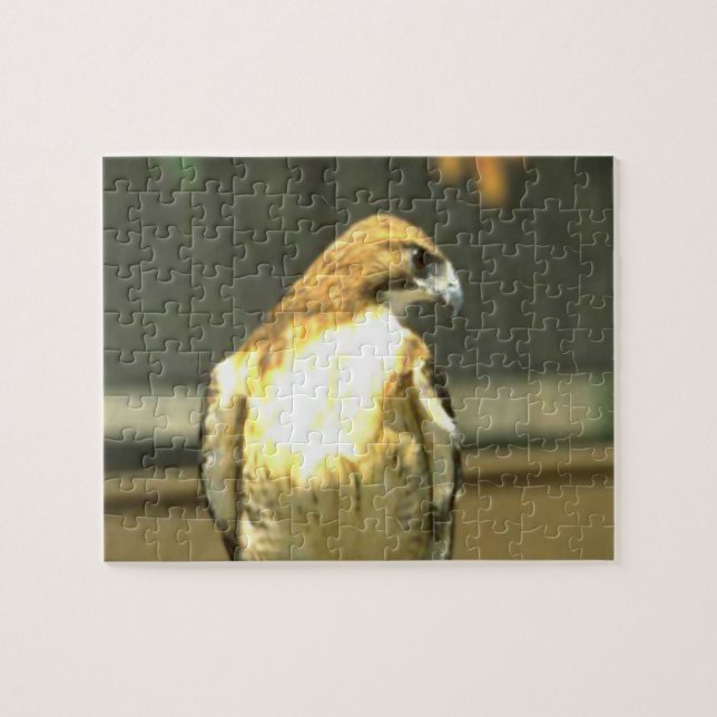 American Bald Eagle Puzzle (Horizontal)