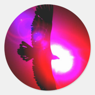 American Bald Eagle Runder Aufkleber