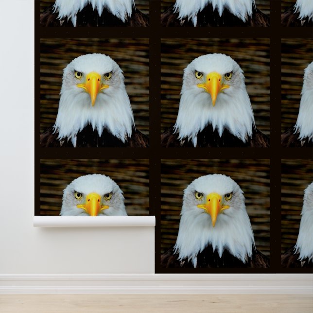 American Bald Eagle Tapete (Anwendung)