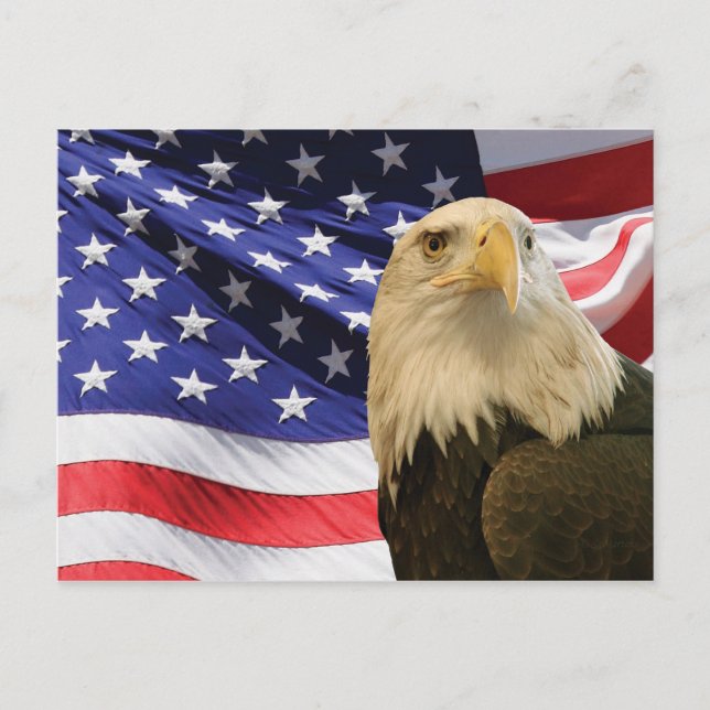 American Bald Eagle und Flag Postkarte (Vorderseite)